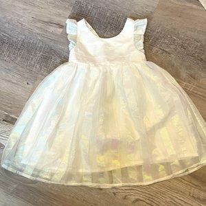 Girls 4t cat and jack iridescent holiday dress